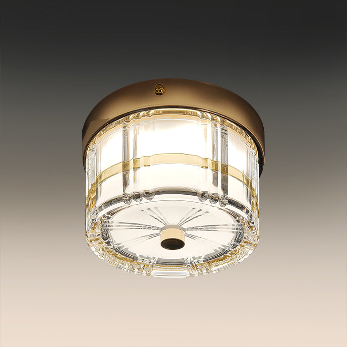 LED flush mount ceiling light Auckland