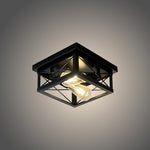 Black ceiling light modern design lighting store NZ