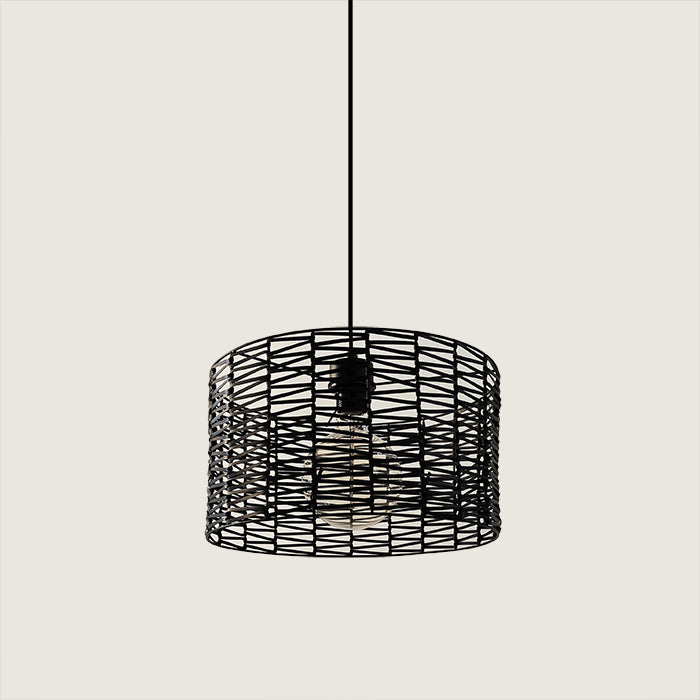 Black wire pendant light  hanging on the entry area nz homes