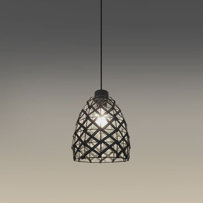 Pendant light Black 8669-250mm