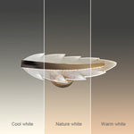 hallway wall fixture Auckland