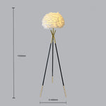 Floor lamp with dimensions NZ