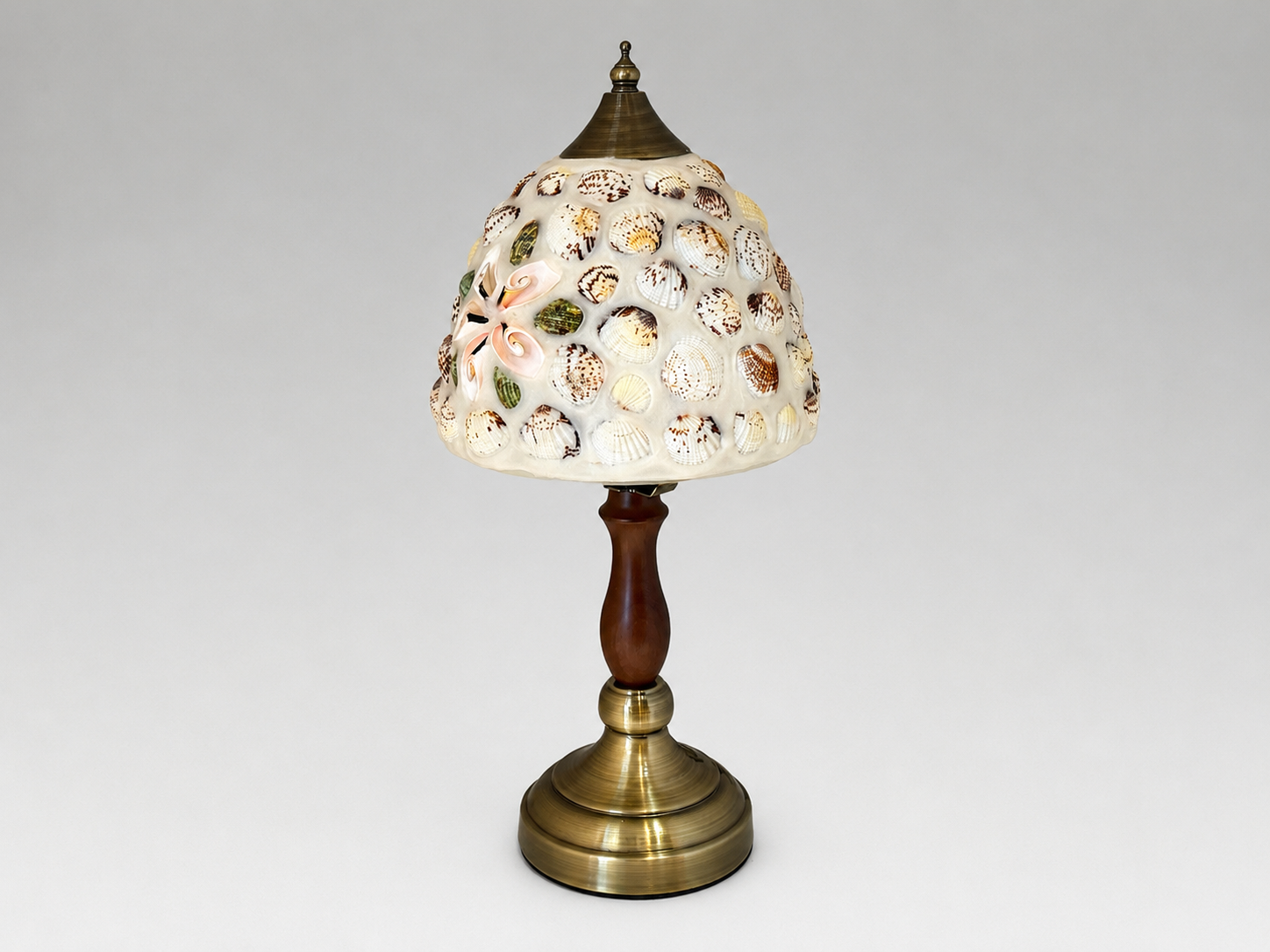 Coastal Seashell Table LampT6082