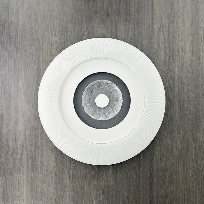 LED flush mount ceiling light - eden lighting West NZ