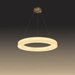 Modern LED pendant light - eden lighting Auckland