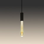 Modern pendant light with clear glass bulb NZ