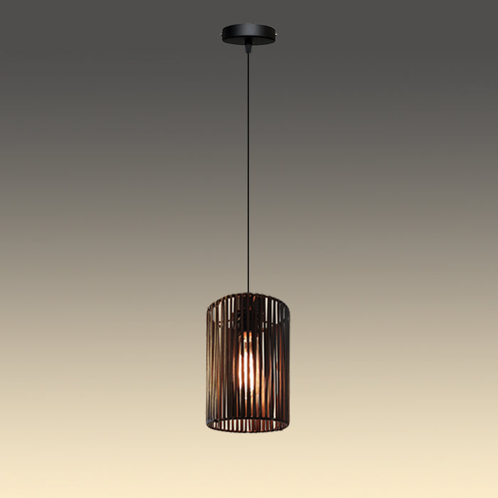 Modern pendant light with a dark blet cage design nz homes