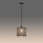Pendant light with decorative cage shade west auckland