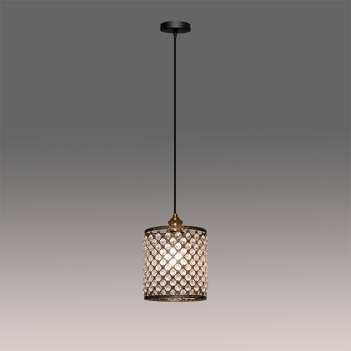 Pendant light with decorative glass shade west auckland