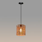 Pendant light with woven design hanging in the entry area west auckland