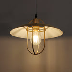Vintage-style pendant light with a glowing bulb west auckland