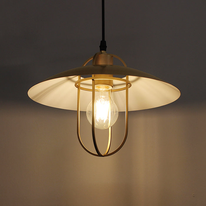 Vintage-style pendant light with a glowing bulb west auckland