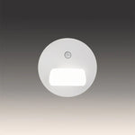 White motion sensor light west auckland