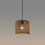 adjustable nature pendant light for Auckland dining area
