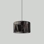 belt hanging pendant light for contemporary Auckland houses

