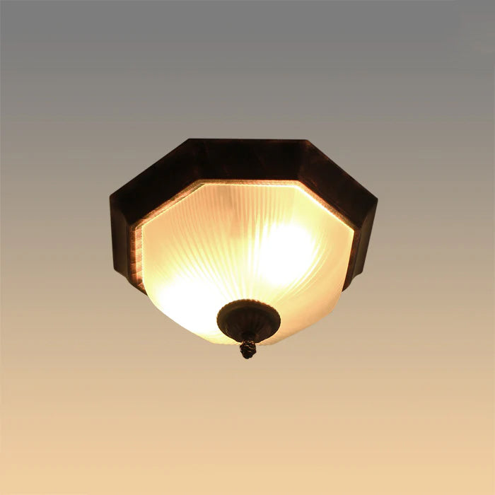 contemporary ceiling fixture Auckland