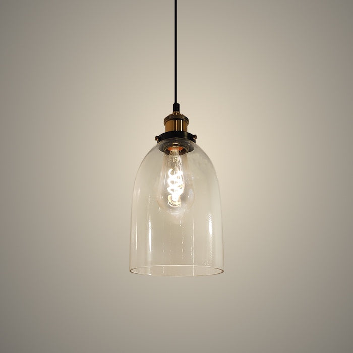 Clear glass pendant light with a visible bulb NZ