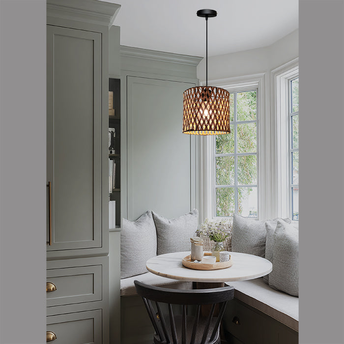 minimalist nature pendant light for NZ apartment living room