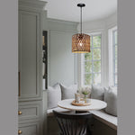 minimalist nature pendant light for NZ apartment living room