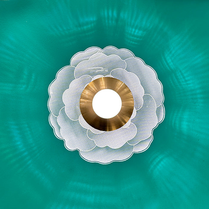 modern wall/ceiling light brass color - eden lighting Auckland