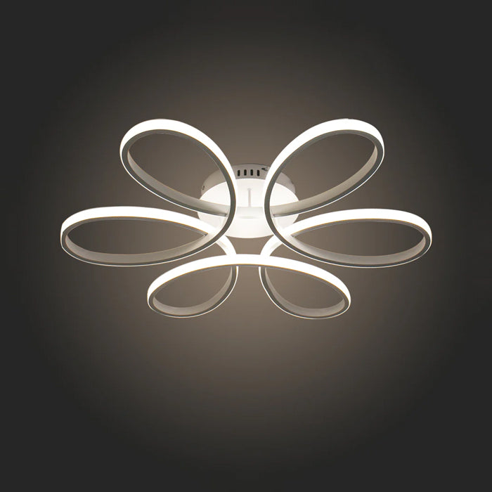 living room ceiling light Auckland